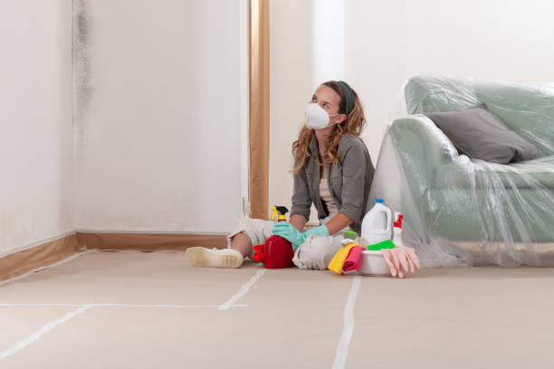 Reliable Commercial Mold Remediation contractor in Willow Grove, PA by WQB Mold Removal
